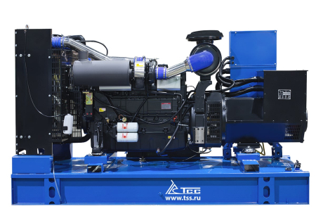 Дизельный генератор ТСС ЭД-200-Т400-1РПМ5 ПРОФ фото