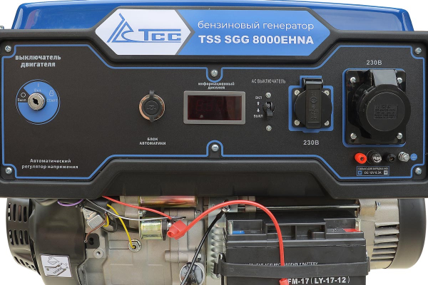 Бензиновый генератор ТСС SGG 8000EHNA в кожухе МК-1.1 армейский фото