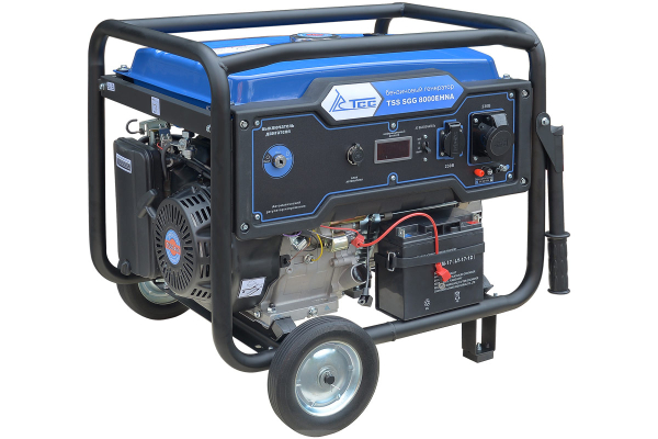Бензиновый генератор ТСС SGG 8000EHNA в кожухе МК-1.1 стационарный фото
